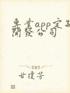 专业app定制开发公司