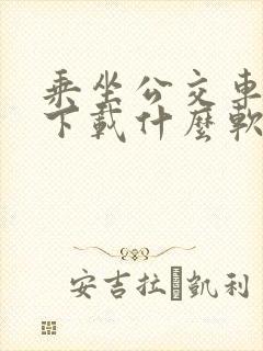 乘坐公交车需要下载什么软件 乘坐公交车需要下载什么软件