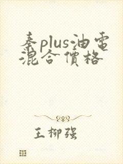 秦plus油电混合价格