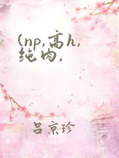 (np,高h,纯肉, (np,高h,纯肉,