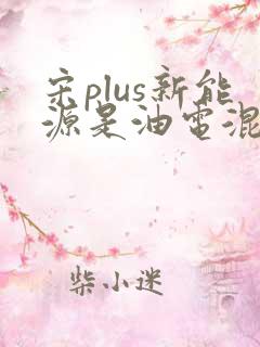宋plus新能源是油电混合吗