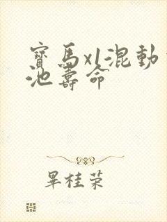 宝马x1混动电池寿命
