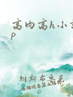 高肉高h小说np