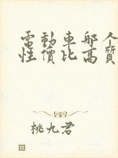 电动车哪个牌子性价比高质量好