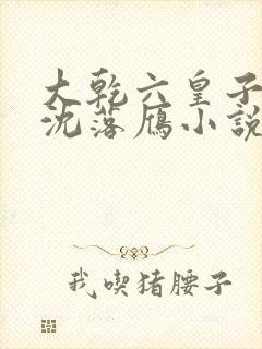 大乾六皇子云铮沈落雁小说