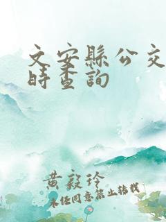 文安县公交车实时查询