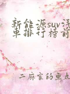 新能源suv汽车排行榜前十名