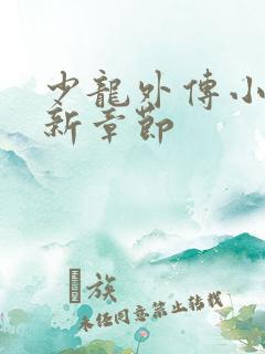 少龙外传小说最新章节