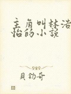主角叫林浩李静怡的小说