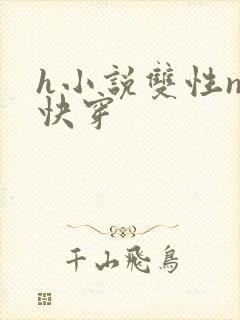h小说双性np快穿