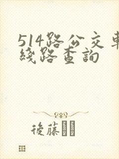 514路公交车线路查询 514路公交车线路查询
