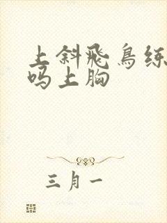 上斜飞鸟练的是吗上胸