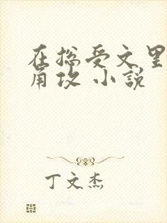 在总受文里抢主角攻 小说