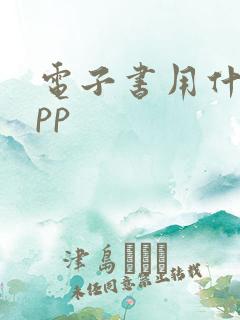 电子书用什么app