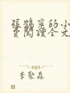 张鹤宁的小说免费阅读全文