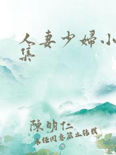 人妻少妇小说合集