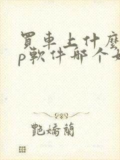 买车上什么app软件哪个好
