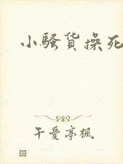 小骚货操死我了