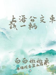 上海公交车多少钱一辆