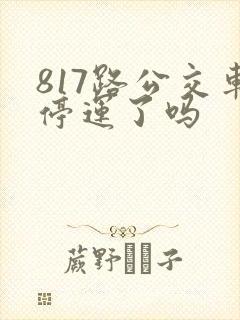817路公交车停运了吗