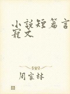 小说短篇言情甜宠文