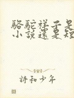 骆驼祥子是长篇小说还是短篇小说