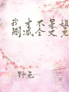 我才不是姐控无删减全文免费阅读