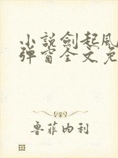 小说剑起风云无弹窗全文免费阅读