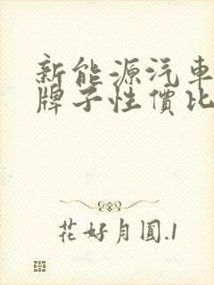新能源汽车那个牌子性价比高