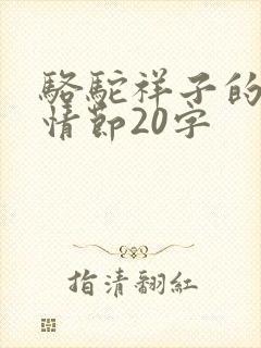骆驼祥子的主要情节20字