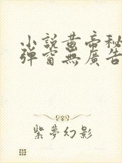 小说黄帝秘藏无弹窗无广告 小说黄帝秘藏无弹窗无广告