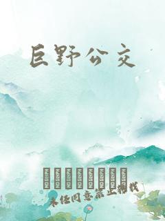 巨野公交