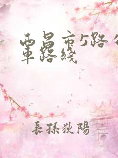 西昌市5路公交车路线