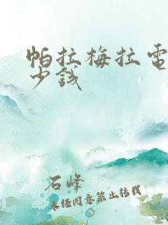 帕拉梅拉电车多少钱