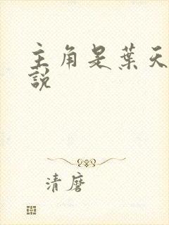主角是叶天的小说