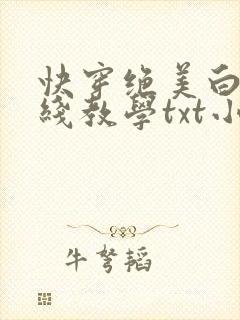 快穿绝美白莲在线教学txt小说