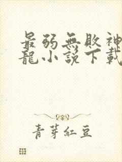 最弱无败神装机龙小说下载