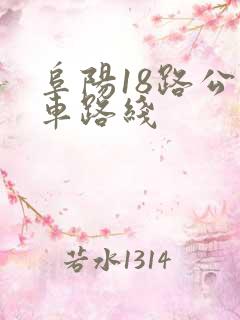 阜阳18路公交车路线