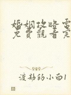婚姻攻略电视剧免费观看完整版11集