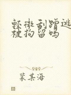 轻微刮蹭逃逸会被拘留吗