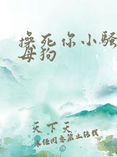 操死你小骚货小母狗