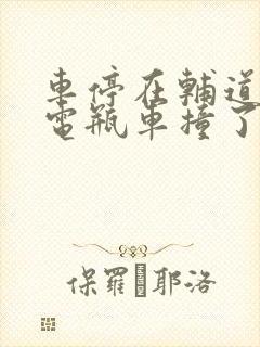 车停在辅道上被电瓶车撞了谁的责任
