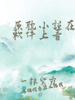 原耽小说在什么软件上看