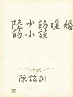 陆少的暖婚新妻的小说
