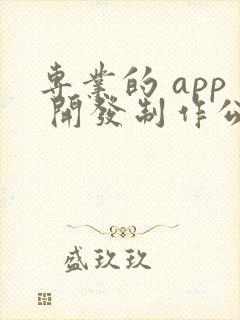 专业的 app 开发制作公司
