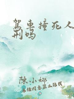 驾车撞死人要判刑吗