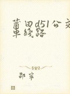 莆田d51公交车线路