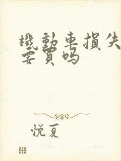 机动车损失保险要买吗