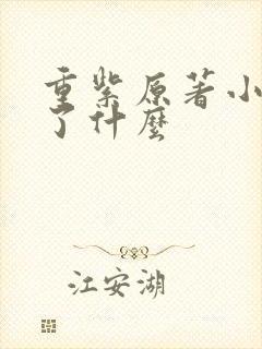 重紫原著小说讲了什么