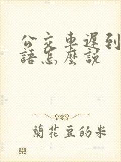 公交车迟到了英语怎么说
